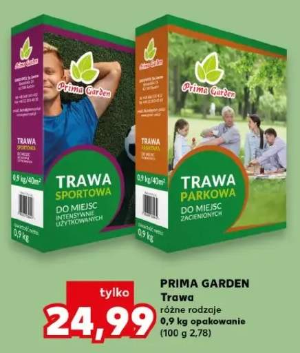 trawa sportowa