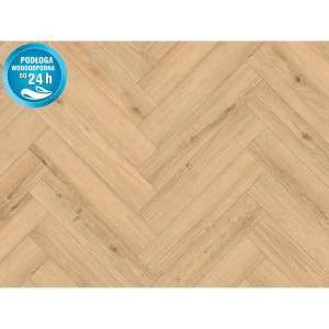 Classen Panel podłogowy Dab Cetina 8 mm AC 5 FV