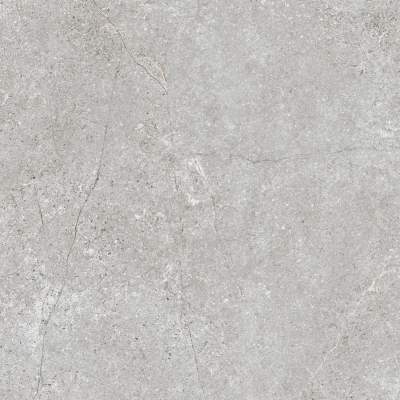 Gres szkliwiony Baredo grey 59,8 x 59,8 cm
