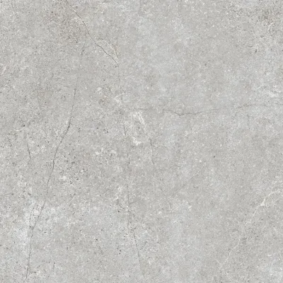 Gres szkliwiony Baredo grey 59,8 x 59,8 cm