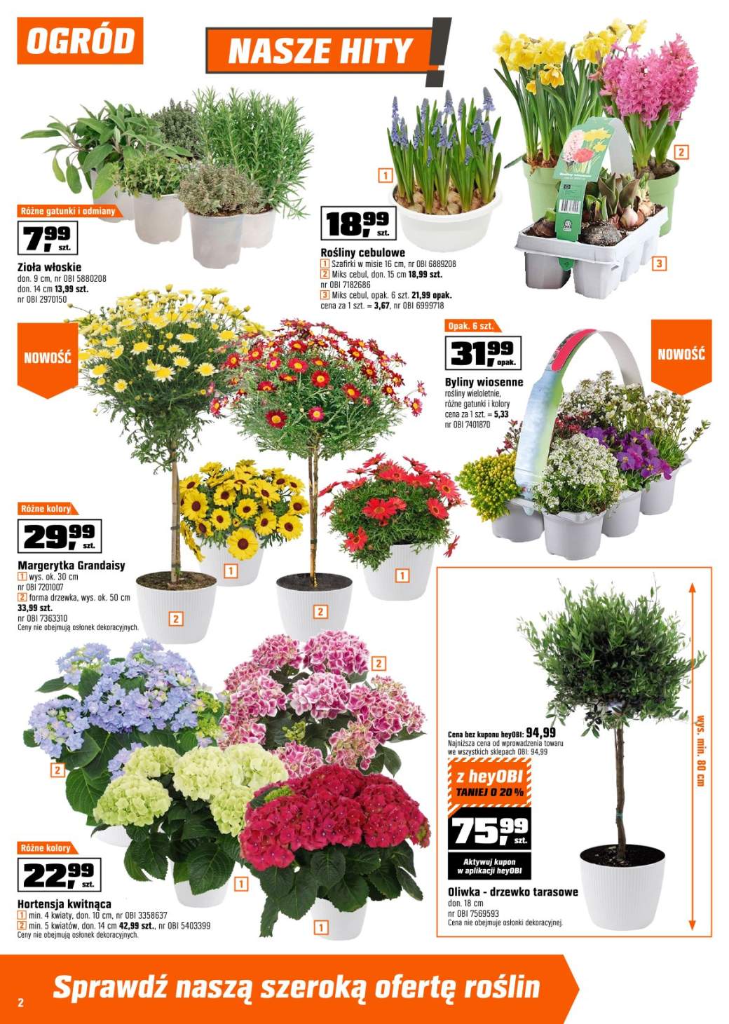 Gazetka – strona 2